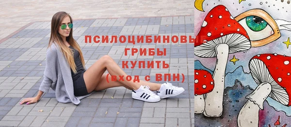 СК Абинск
