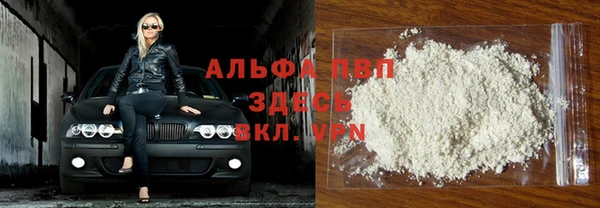 СК Абинск