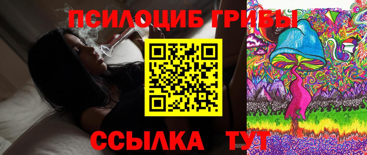 Александров  Псилоцибиновые грибы прущие грибы  Вход с VPN 