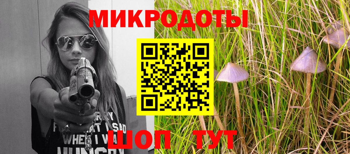 Псилоцибиновые грибы мицелий Александров